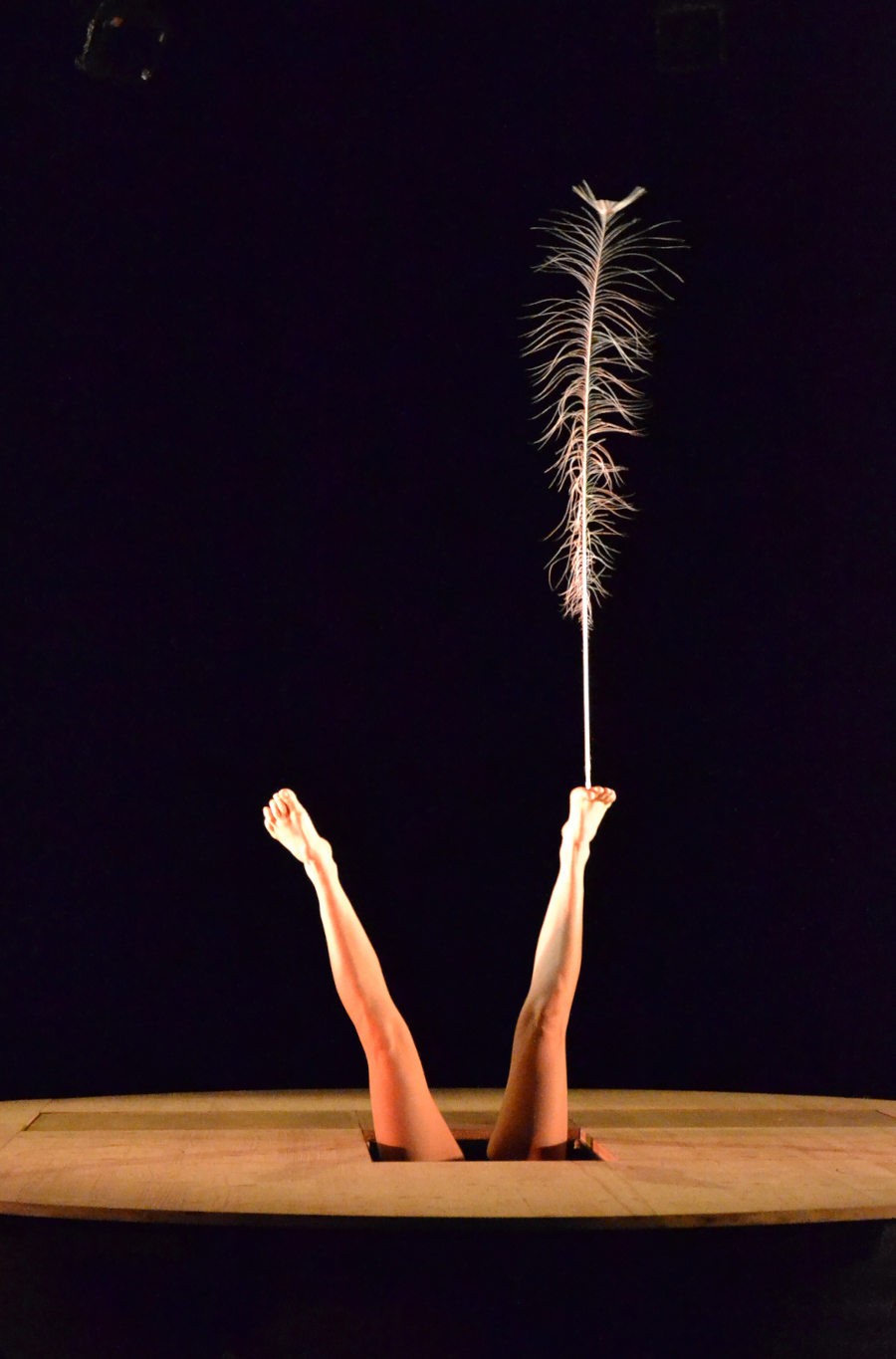Antipodisme avec une plume en équilibre sur le pied dans Le Plus Petit Cirk, spectacle de cirque de la compagnie Opopop